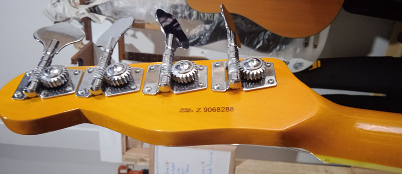 luthier curitiba headstock baixo